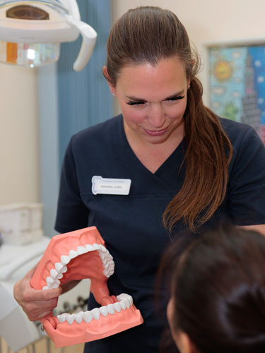 Zahnarzt Dr. med. dent. Jan Meinert - Prophylaxe